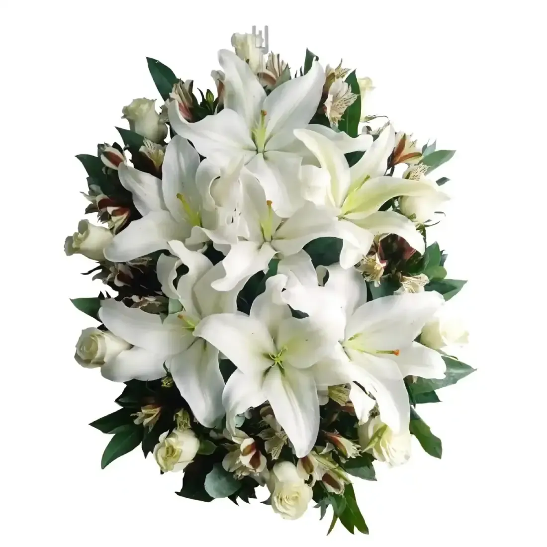 Vuela alto — Lágrima fúnebre