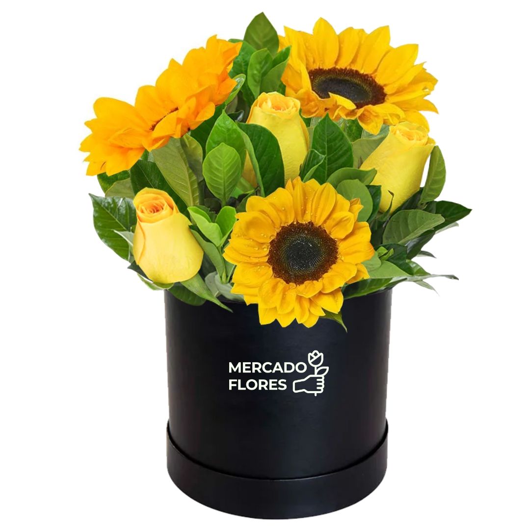 Box con  girasoles de vivero y rosas amarillas