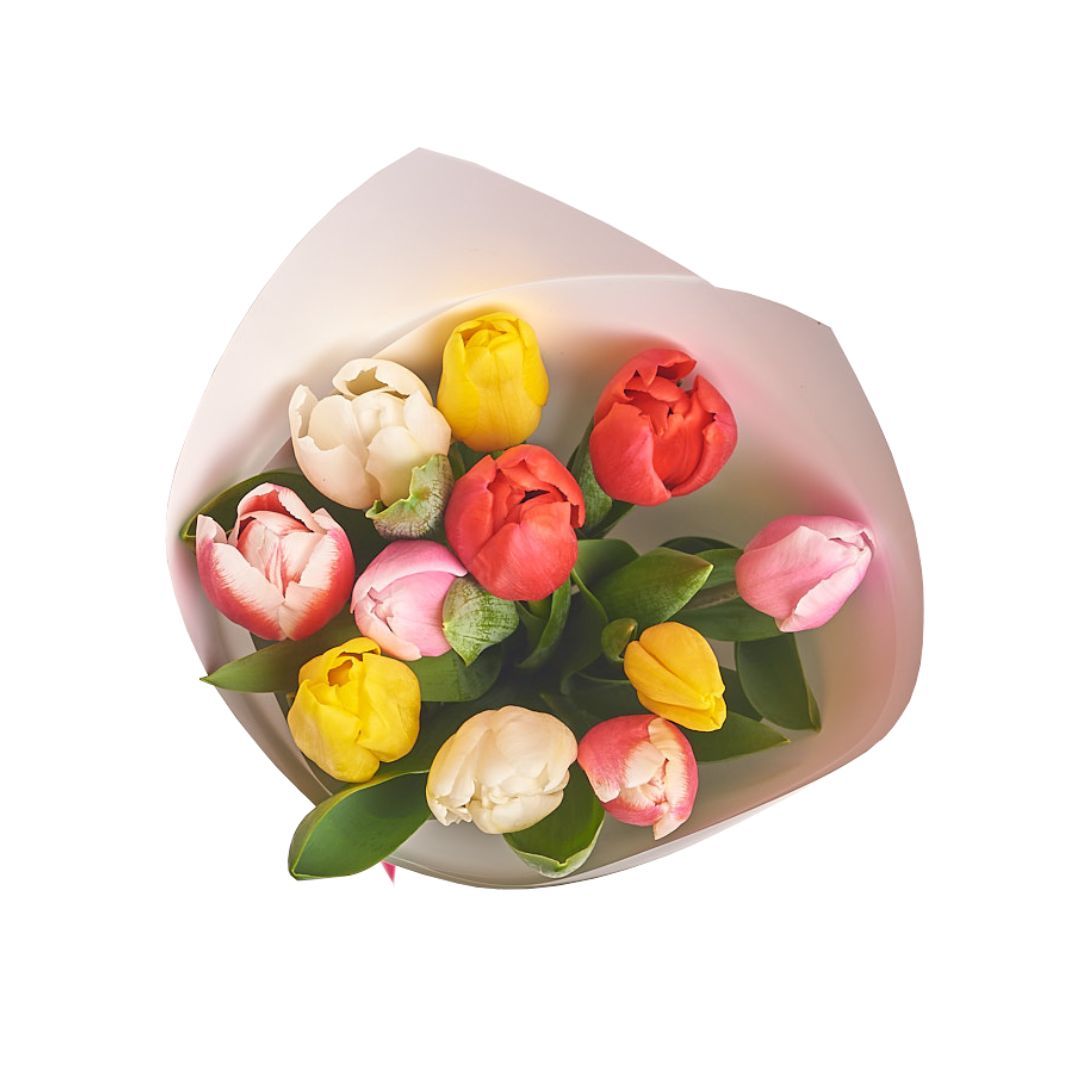 Ramo de tulipanes mix - 10 tulipanes en colores variados