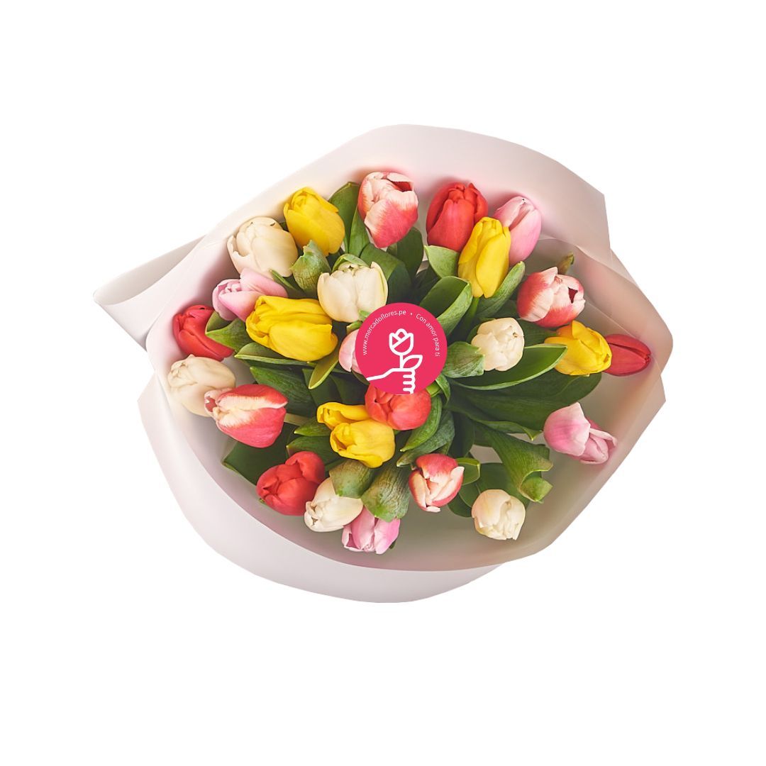 Vittoria — Ramo de 25 tulipanes variados