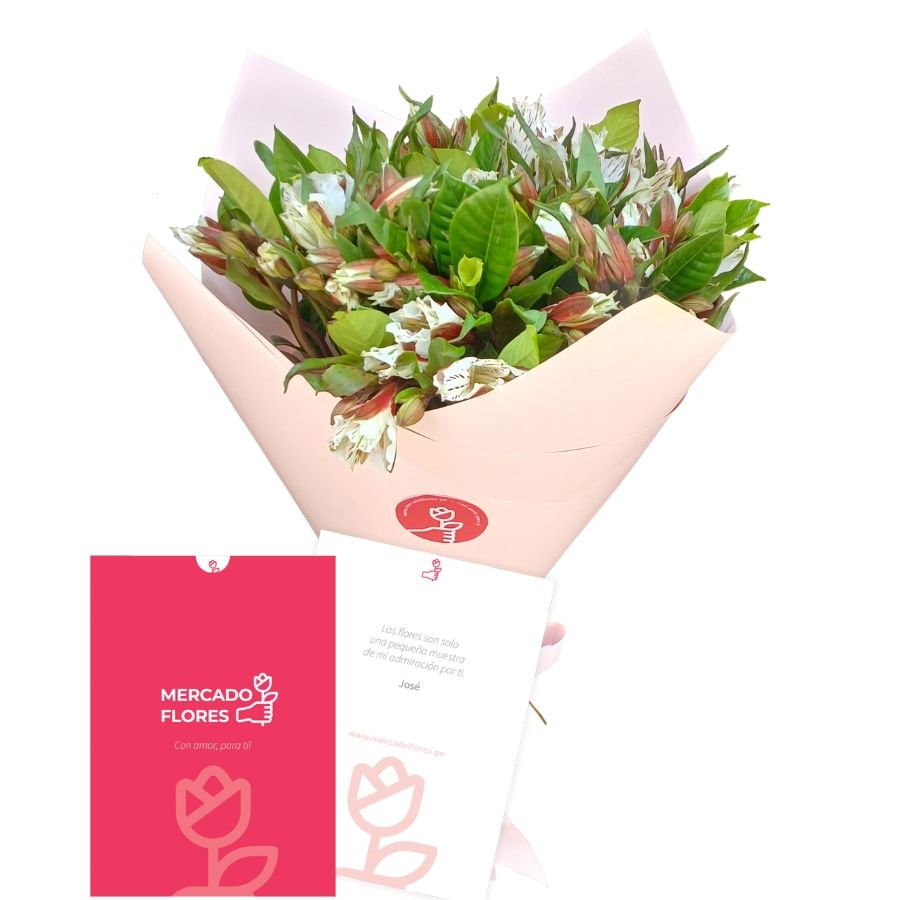 Ramo Arianna - Ramo de astromelias blancas con matices rojos naturales y gardenias.