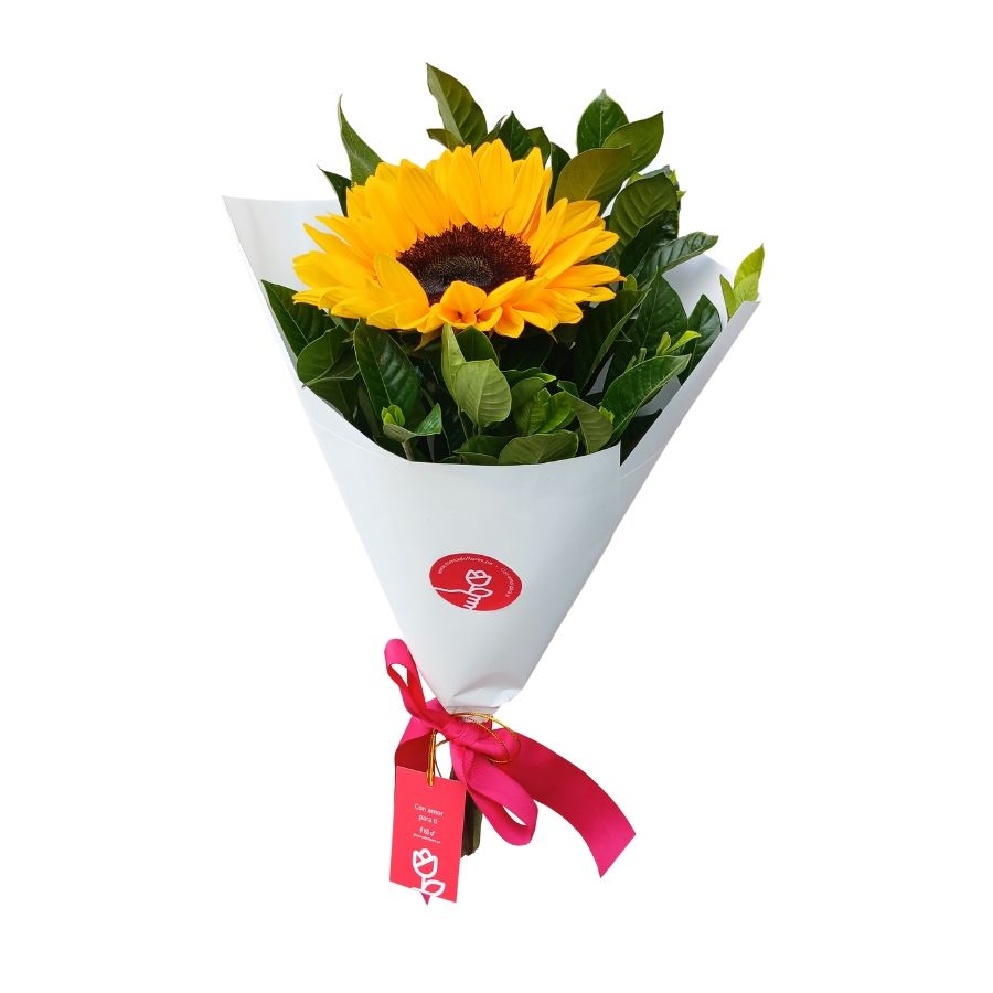 Ramo económico 3 - Ramo Silvestre