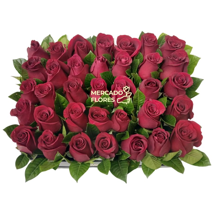 BOX ROMEO - El ultimo romántico