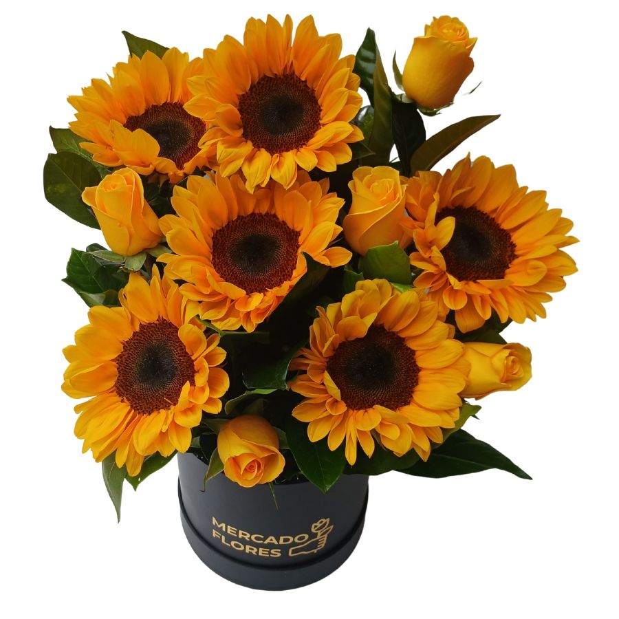 Sombrerera con Girasoles, rosas y verdes selectos