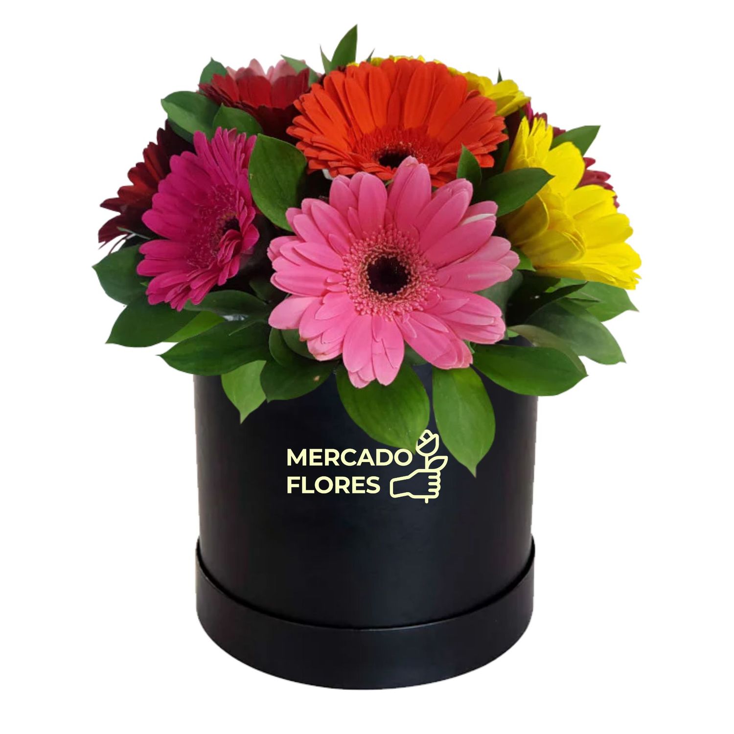 Box con gerberas en colores variados.