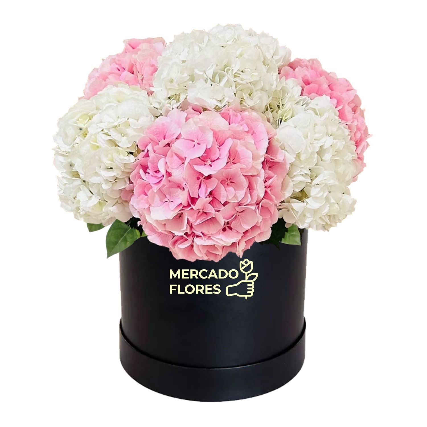 Box con hortensias de vivero en color blanco y rosado