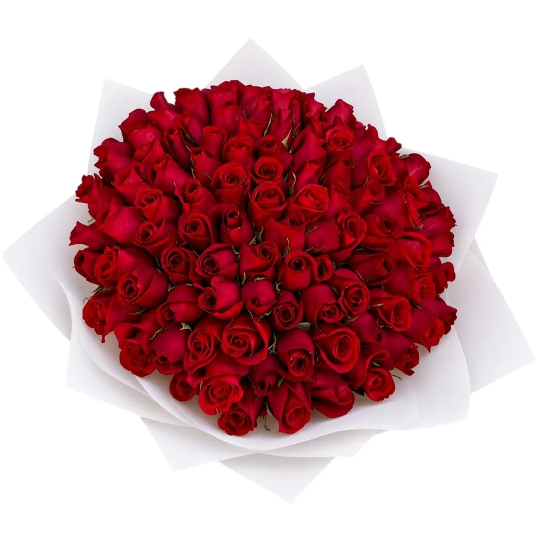 Majestic — Ramo de 100 Rosas Rojas