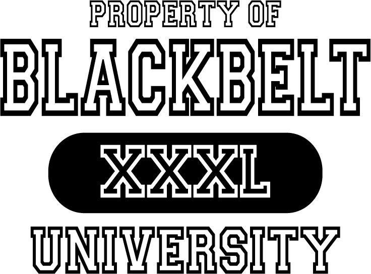 Property of Blackbelt University Team Jones Karate T-Shirt