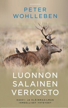 Wohlleben Peter: Luonnon salainen verkosto POKKARI