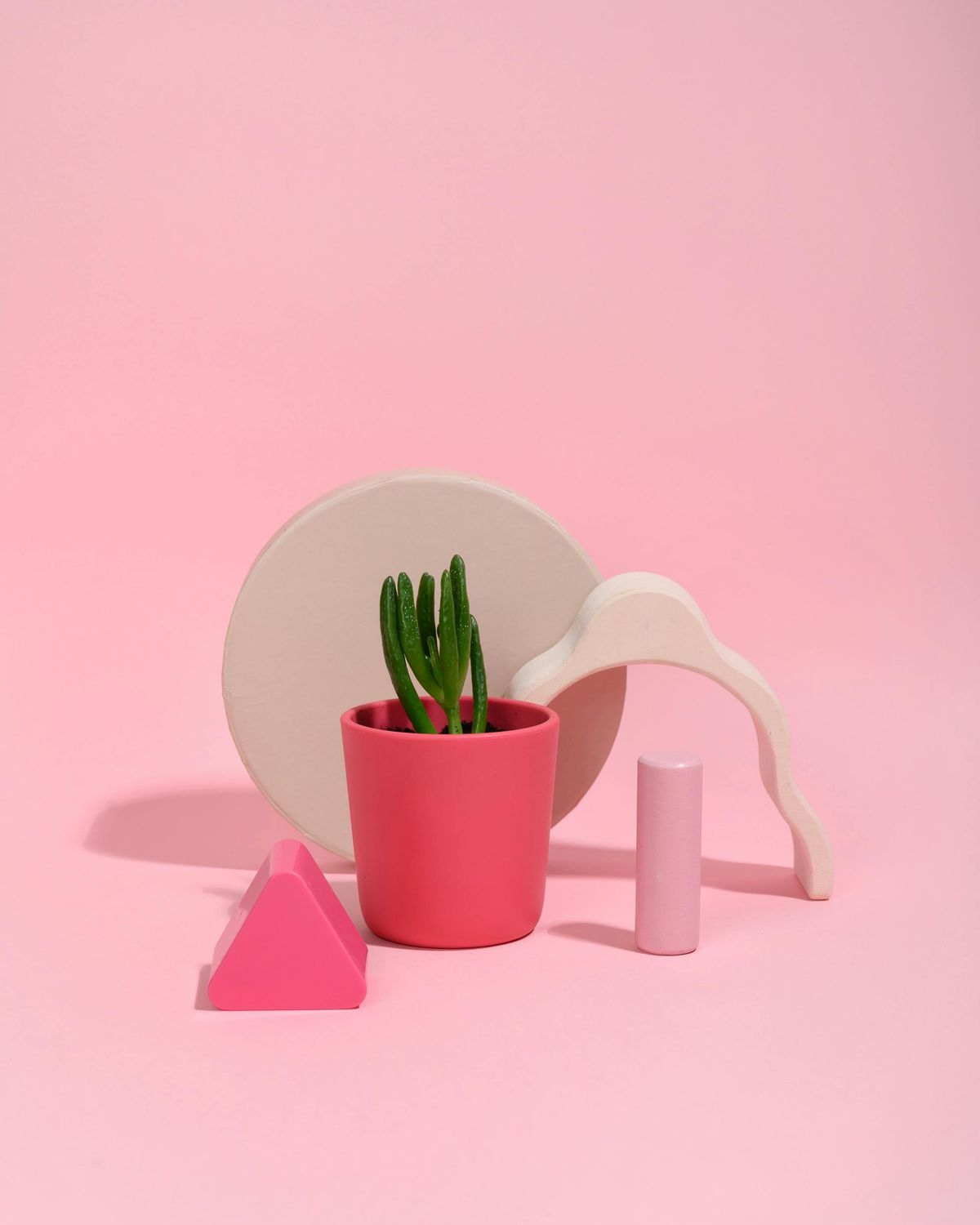 Pink Plant Container