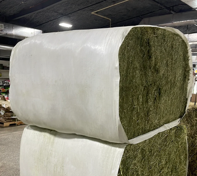 Alfalfa Hay Block Sleeved