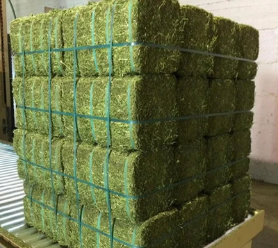 Alfalfa Hay 3-String Bale