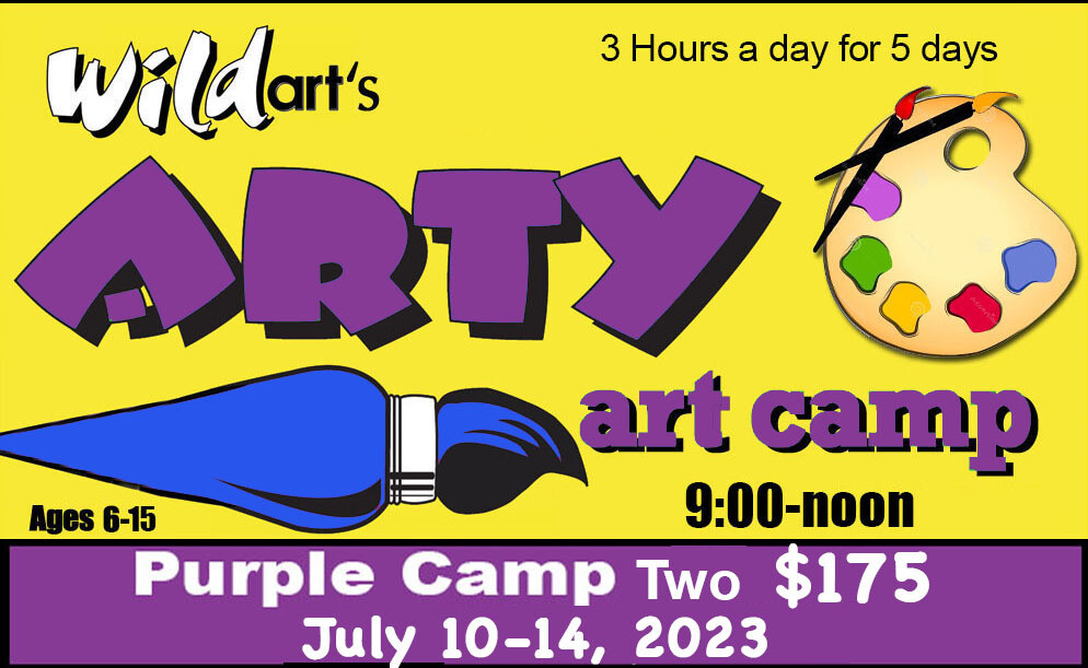 Purple Art Camp 2.  7/10