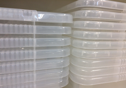 Sterilite 6-Quart Bin