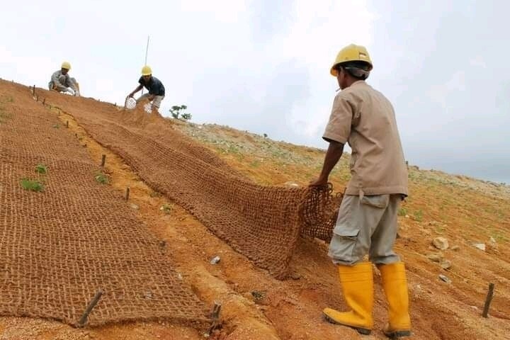 Cocomesh/ Coir Geotextile/ Coirlog