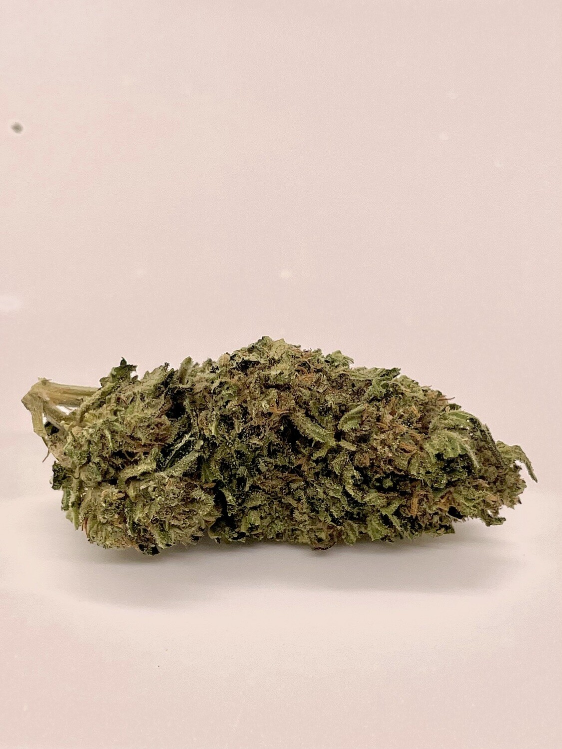 CBD Shirley Temple 14 g