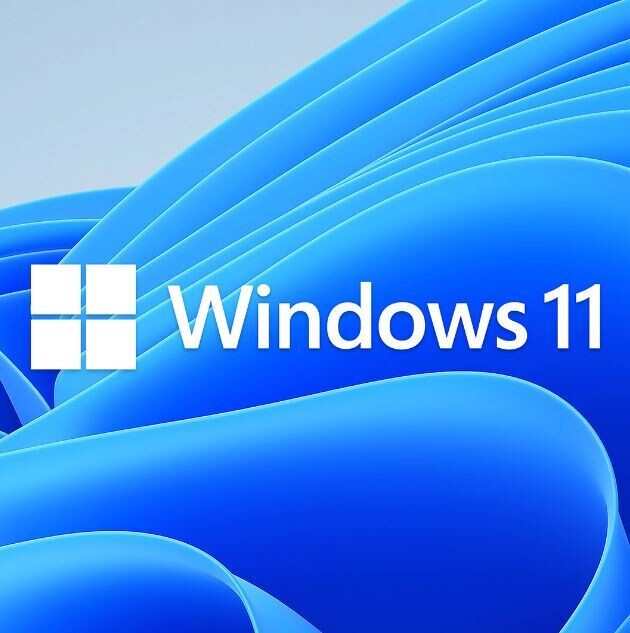 Microsoft Windows 11 Home (SMSWIN11HOME64)