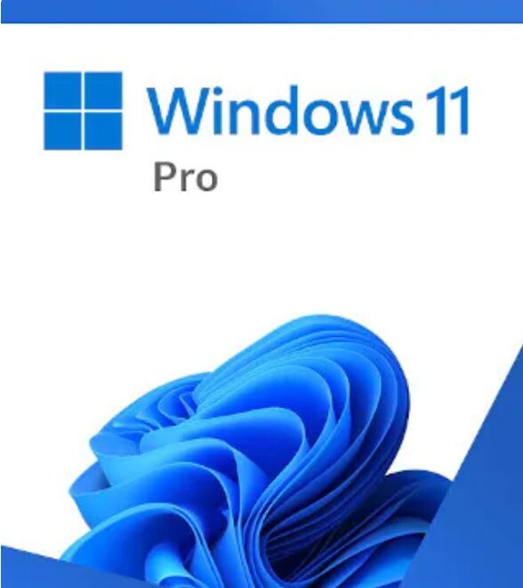 Microsoft Windows 11 Professional USB (SMS-WIN11PRORET-USB)