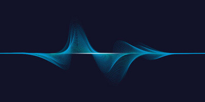 WFS Galah Call .Mp3 Audio File