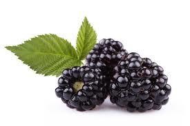 Blackberry Wax scent