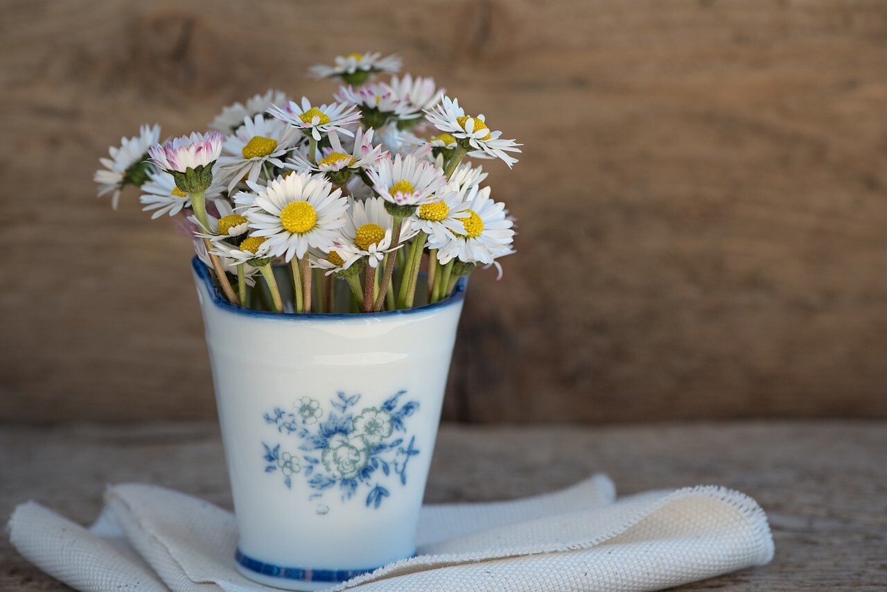 Daisy&#39;s in Country Pot - Small
