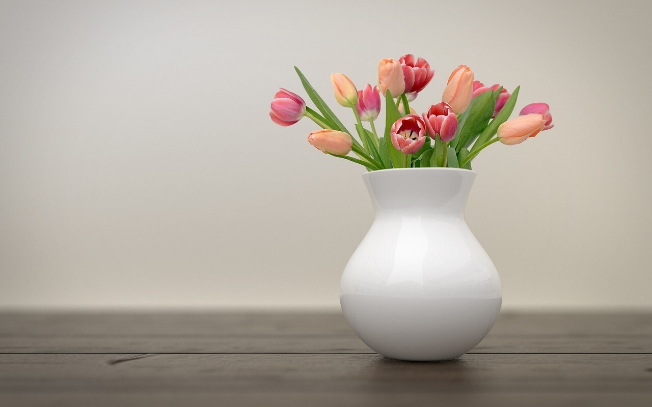 Multi-Colored Tulips