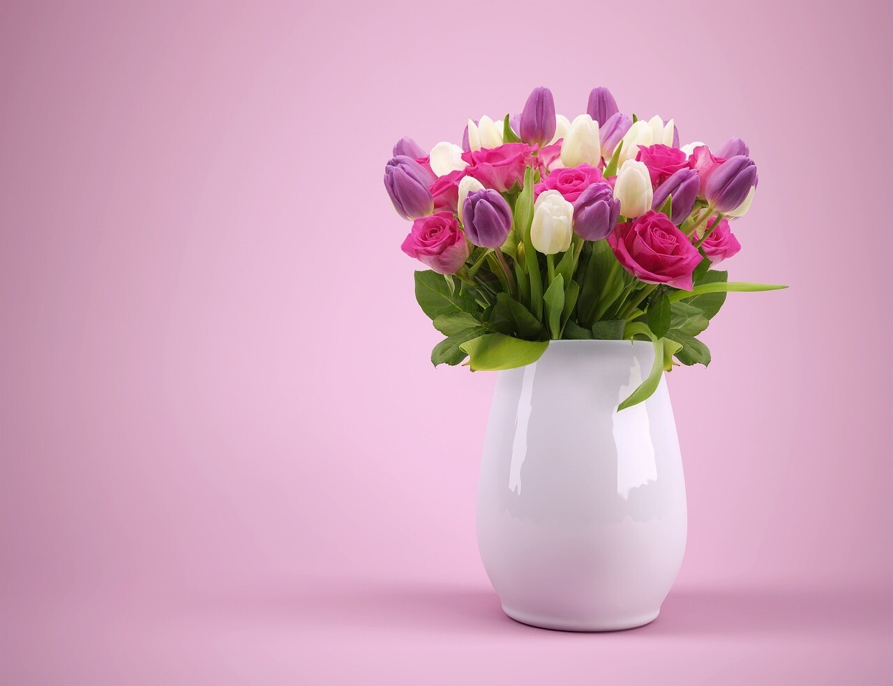 Large Multi-Colored Tulips