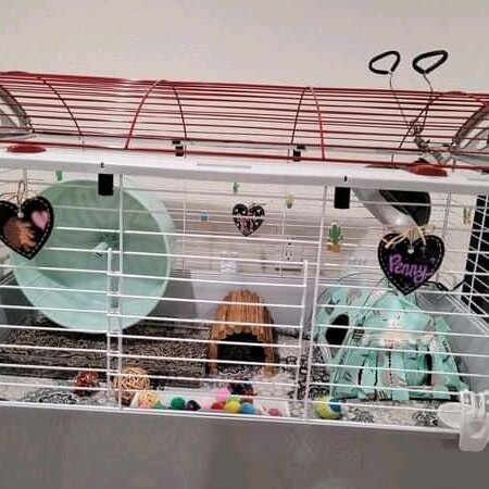 Beautiful hamster condo