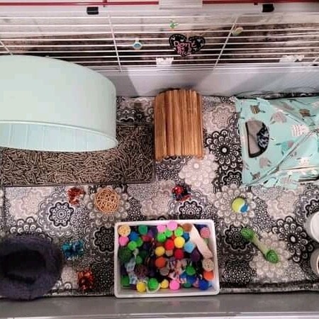 Tank Cage