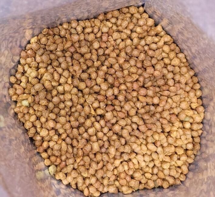 Chikara Color 1 kg