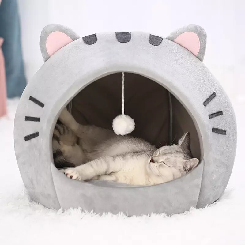 House for cats
