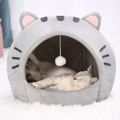 House for cats