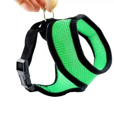 Harness for cats