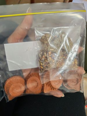 Home cleansing and blessing kit (Herbs and Talismans)