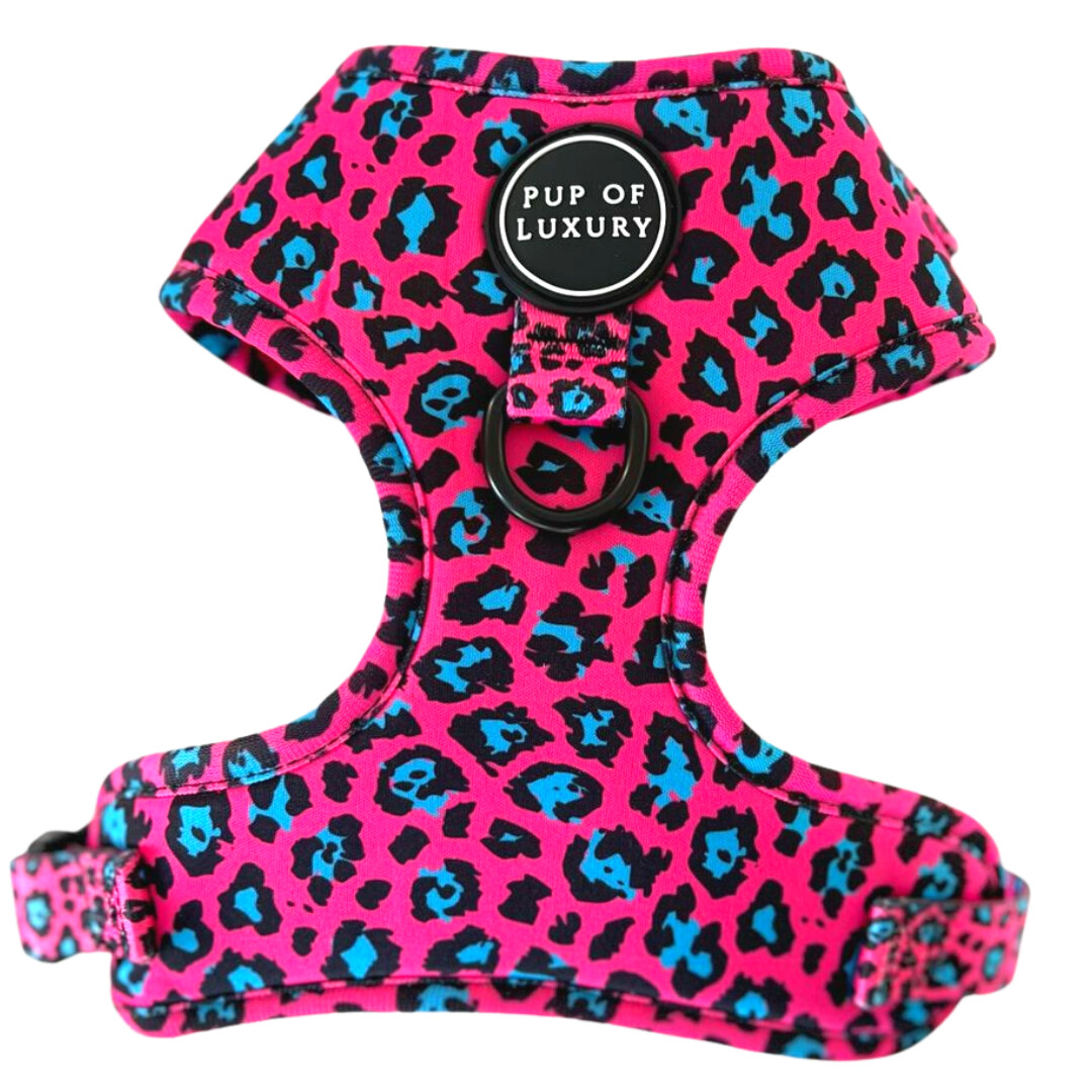 Spot of Luxury (Pink) - Harness