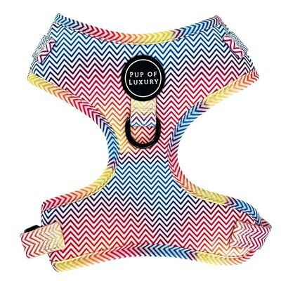 Summer Love - Harness
