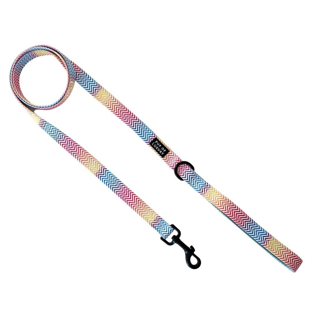 Summer Love - Leash