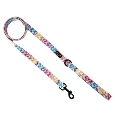 Summer Love - Leash