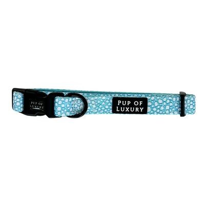 Aquapup - Collar
