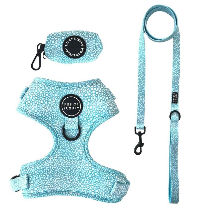 Aquapup - Harness set