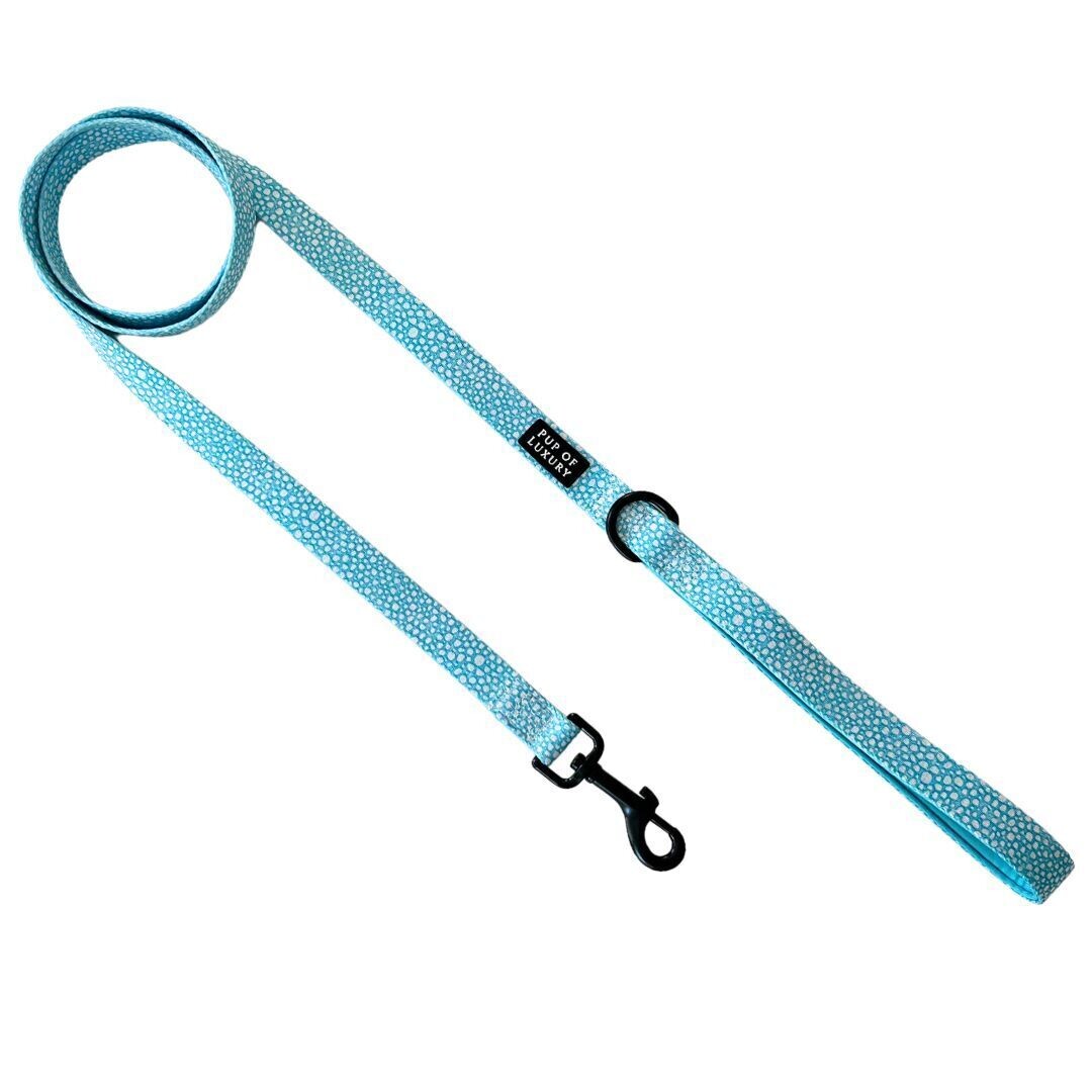 Aquapup - Leash