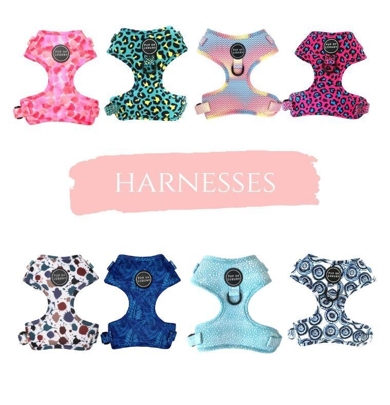 Harnesses