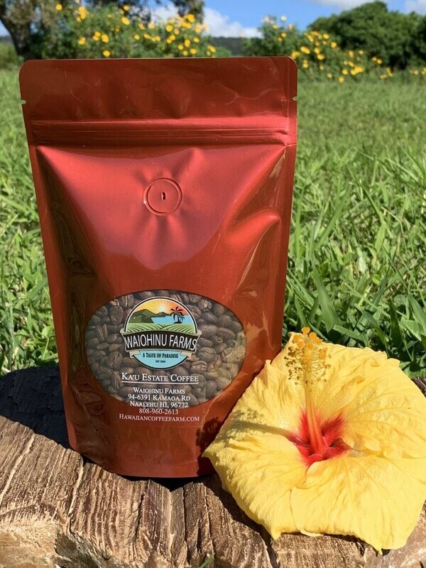 Typica Medium