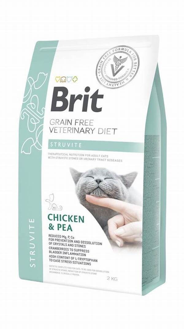 BRIT GF VET DIETS CAT DIABETES 2kg