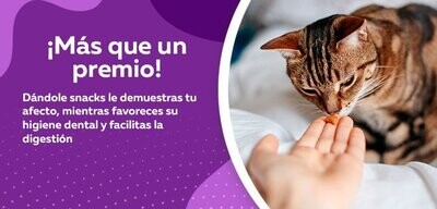 Snack / suplementos y vitaminas