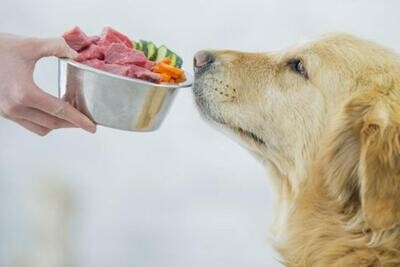 Alimento barf
