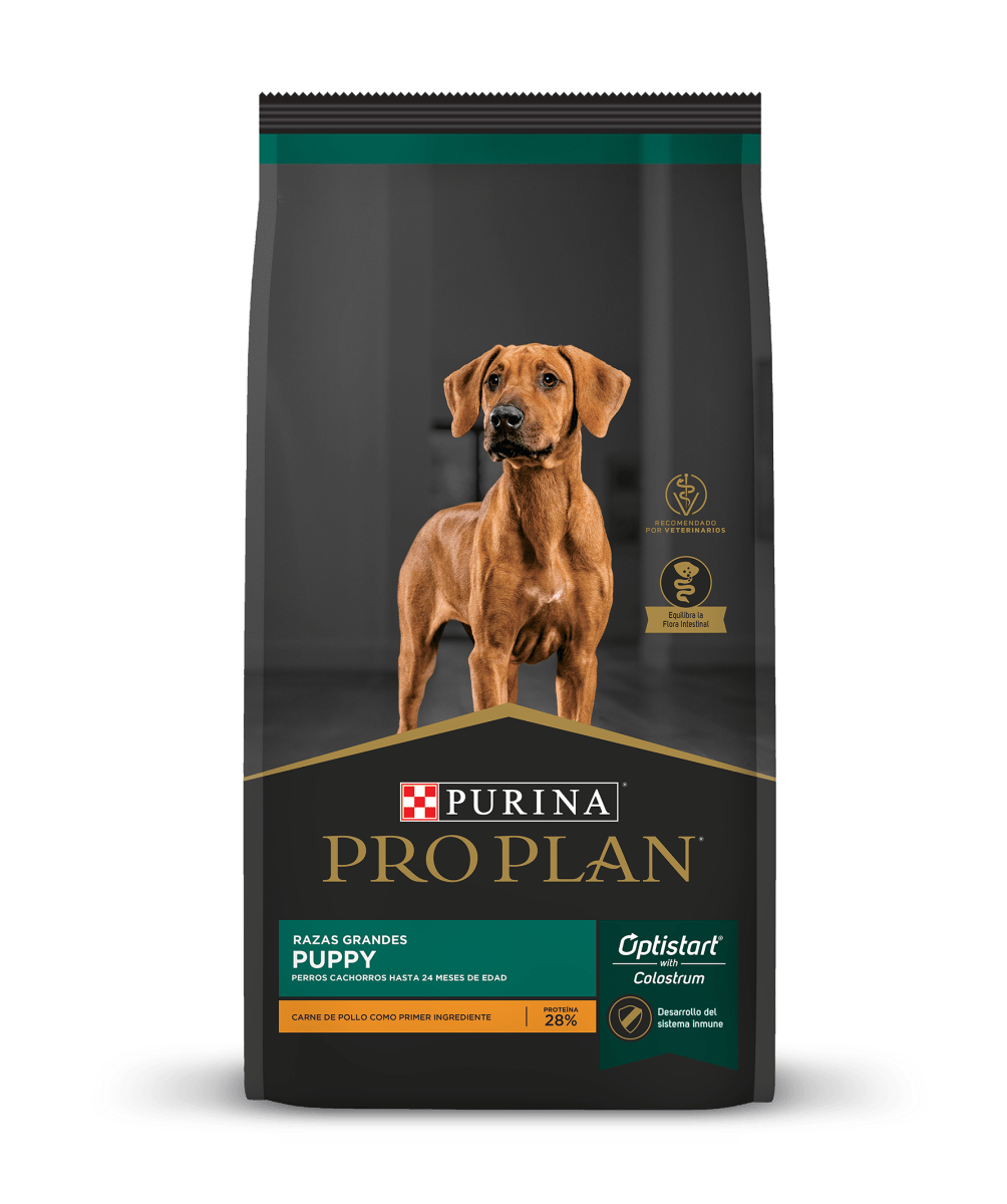 Pro Plan Cachorro raza grande pollo 15kg
