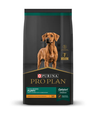 Pro Plan Cachorro raza grande pollo 15kg