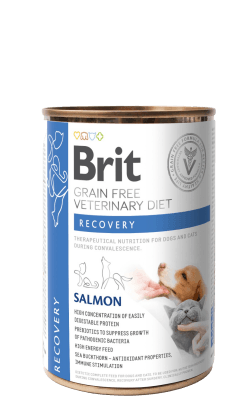 BRIT GF VET DIETS CAN DOG & CAT RECOVERY  400gr