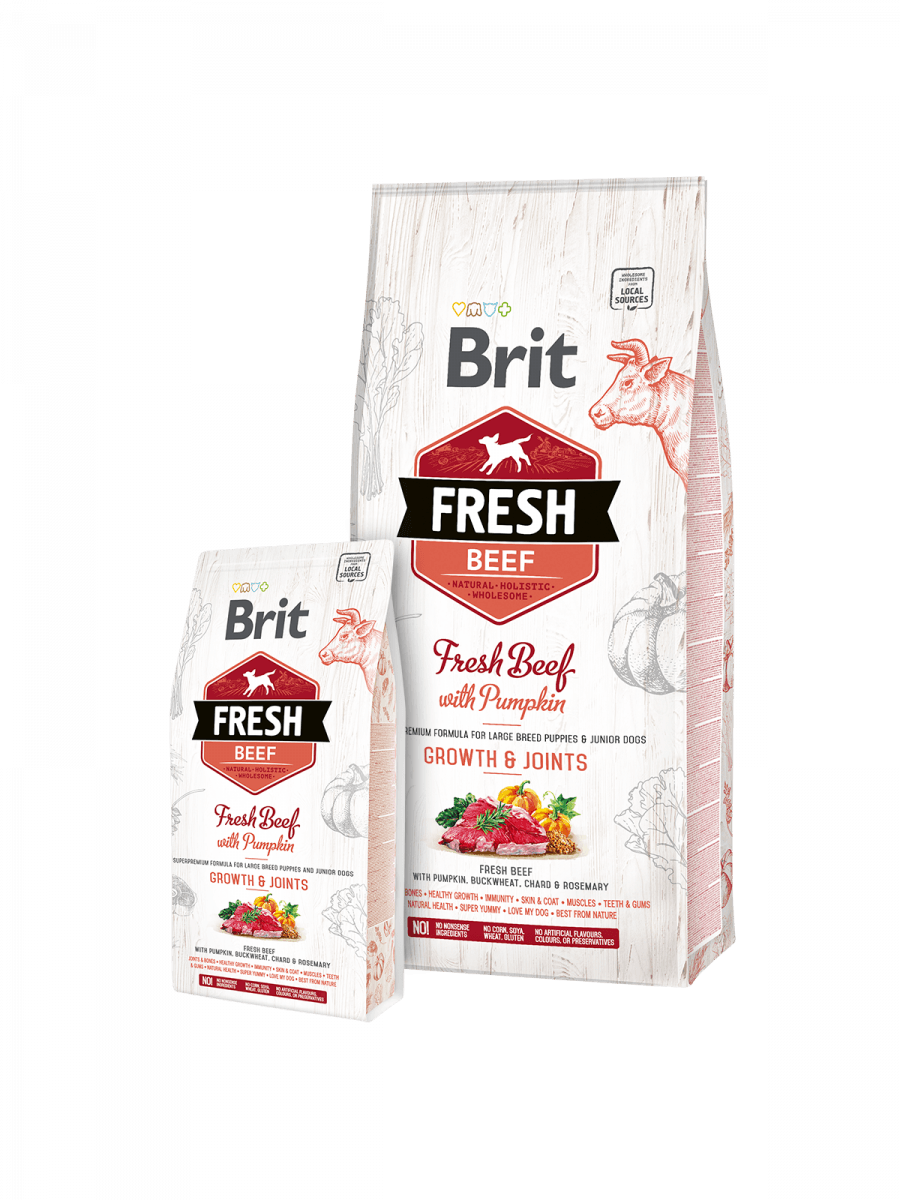 BRIT FRESH BEEF WITH PUMPKIN PUPPY LARGE 12kg